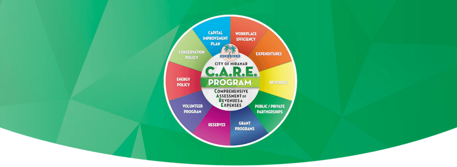 care-program-green-banner.png