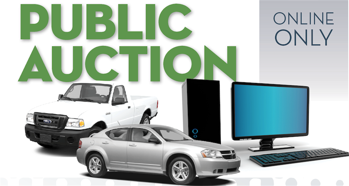 Graphic of a Public Auction