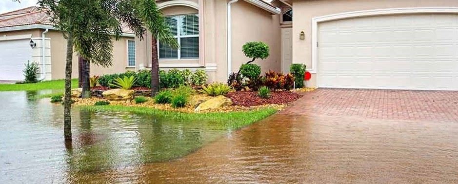 broward-flood-image.jpeg