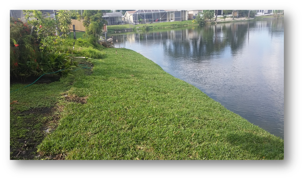 Photo of canal banking