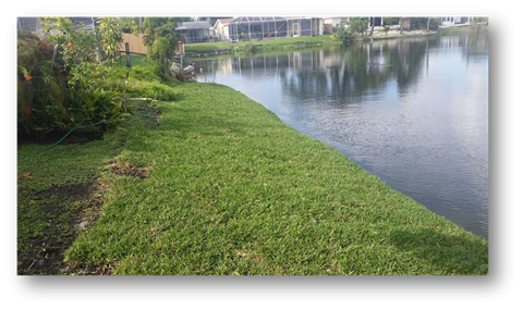 Photo of canal banking